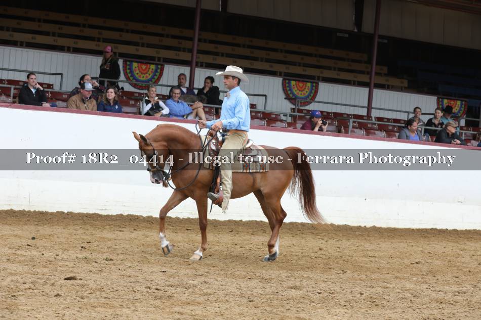 Proof 18R2_04414