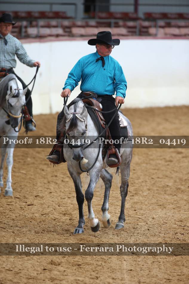 Proof 18R2_04419