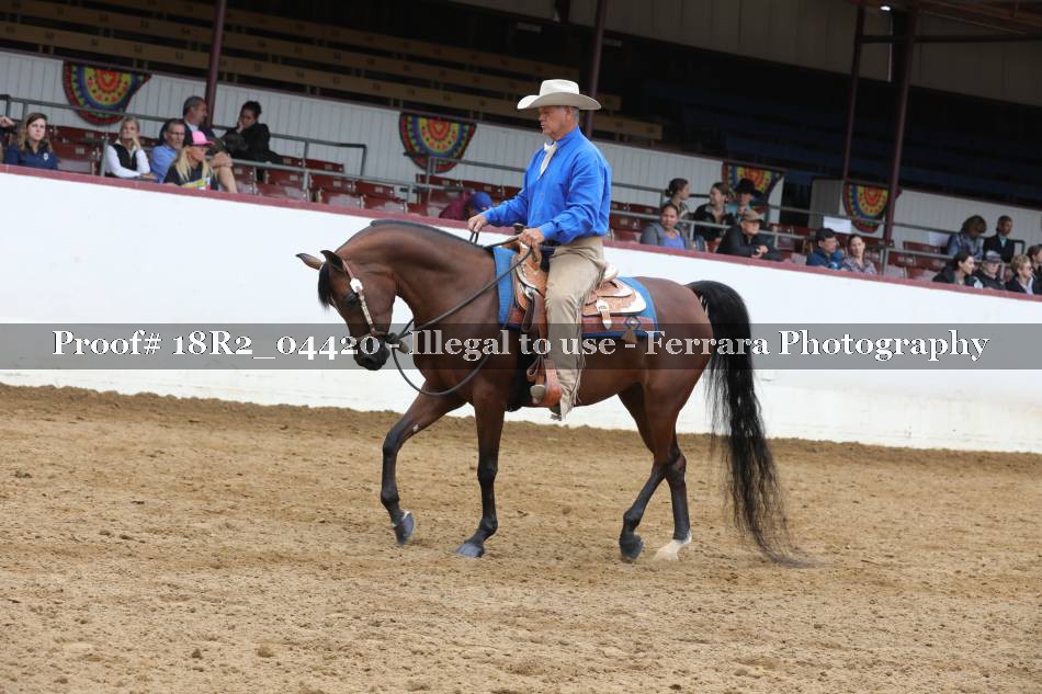 Proof 18R2_04420