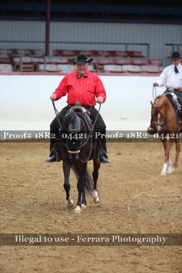 Proof 18R2_04421