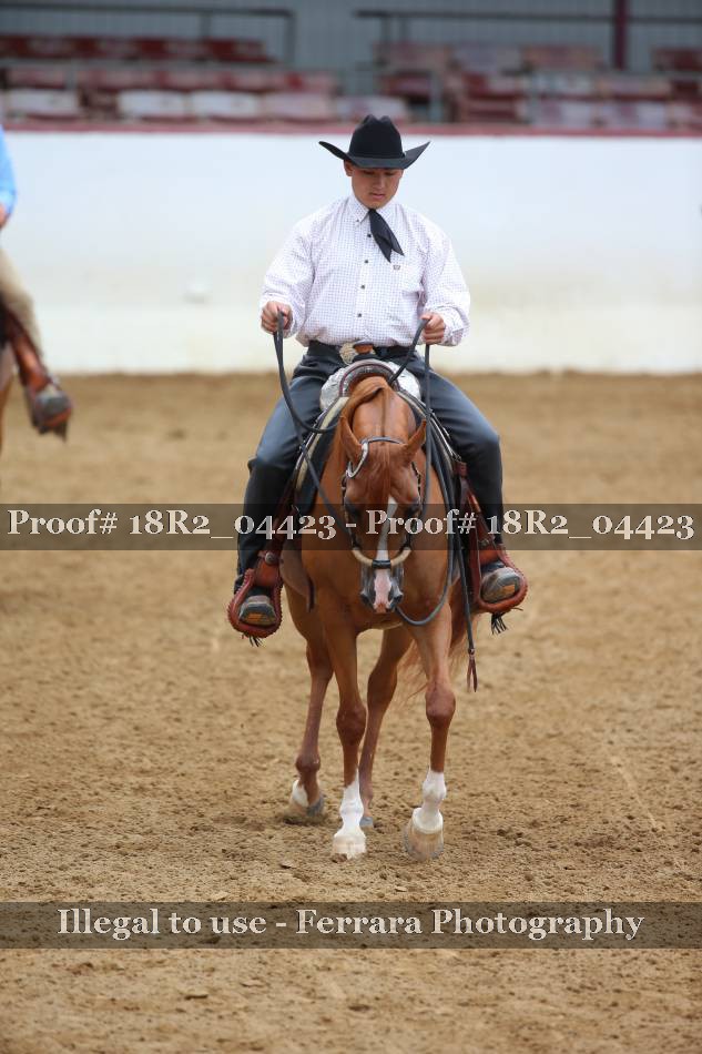 Proof 18R2_04423