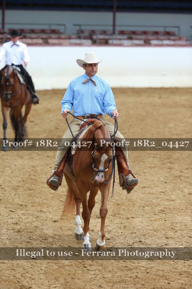 Proof 18R2_04427