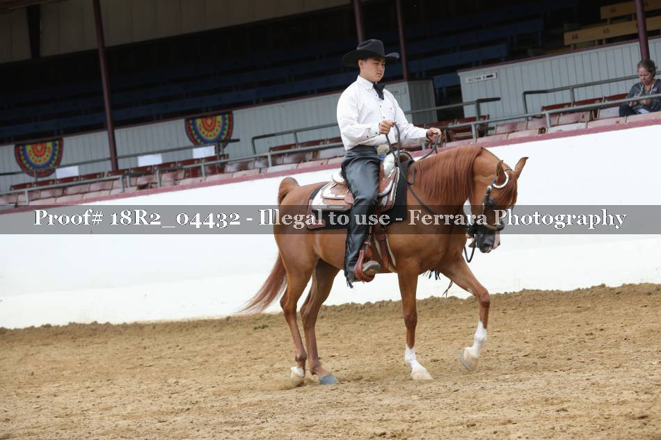 Proof 18R2_04432