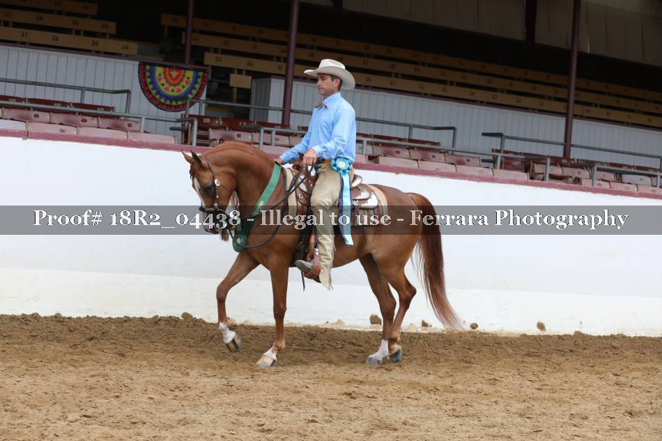 Proof 18R2_04438