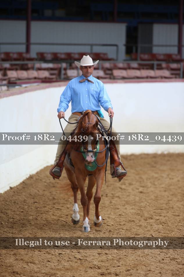 Proof 18R2_04439