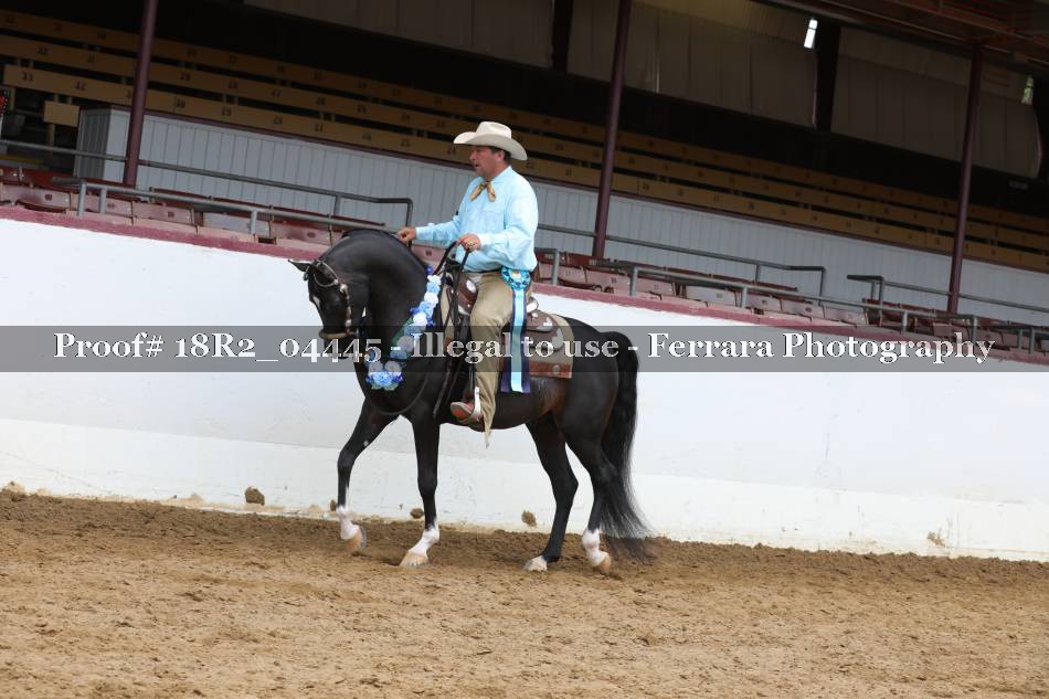 Proof 18R2_04445