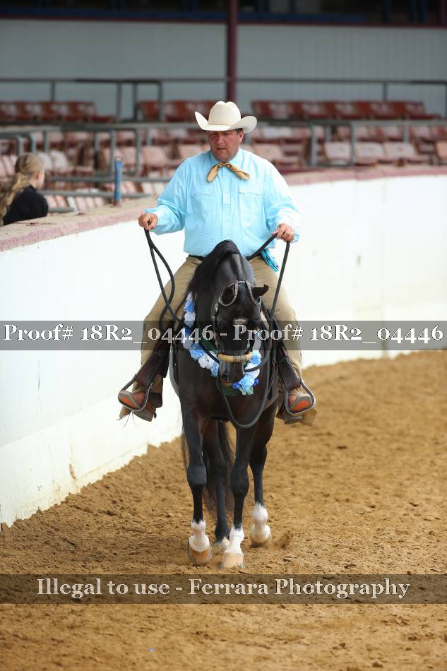 Proof 18R2_04446
