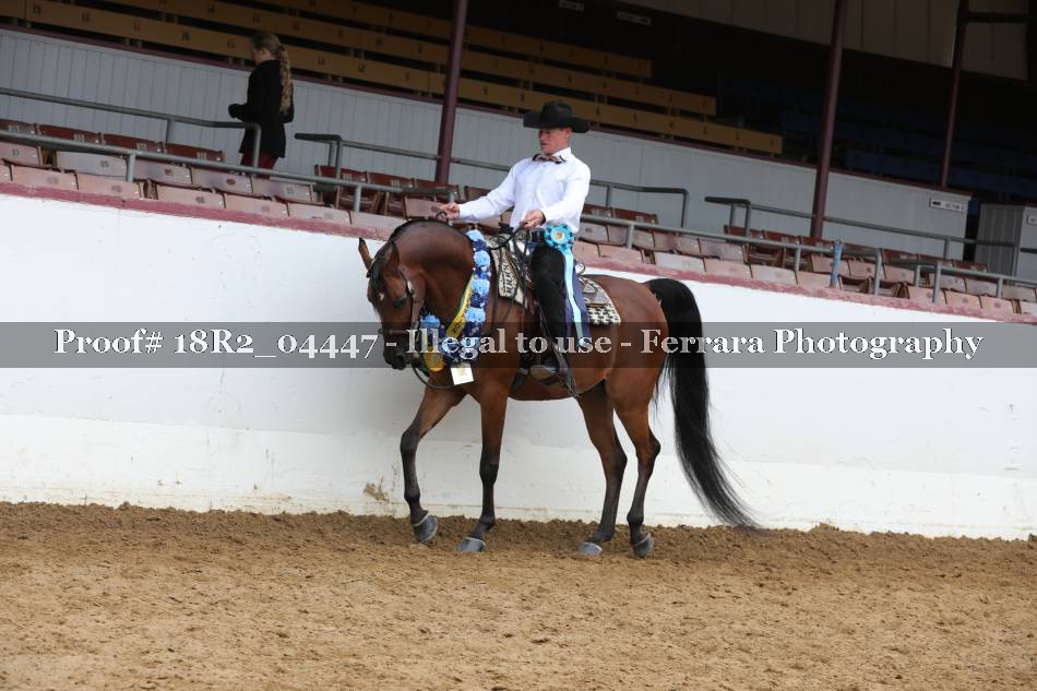 Proof 18R2_04447