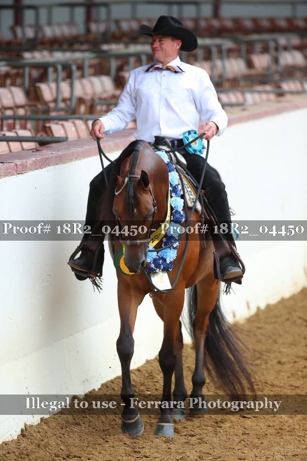 Proof 18R2_04450
