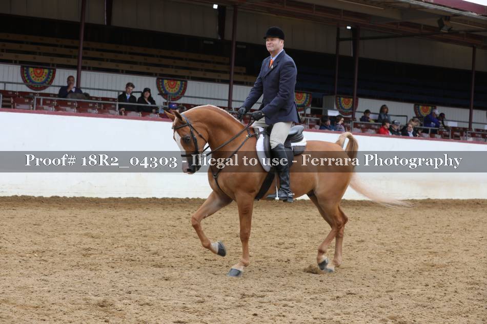Proof 18R2_04303