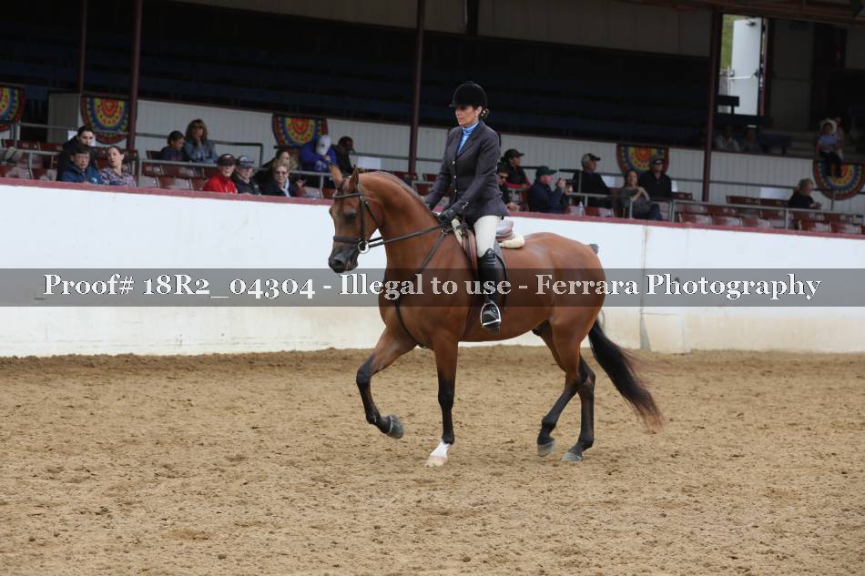 Proof 18R2_04304