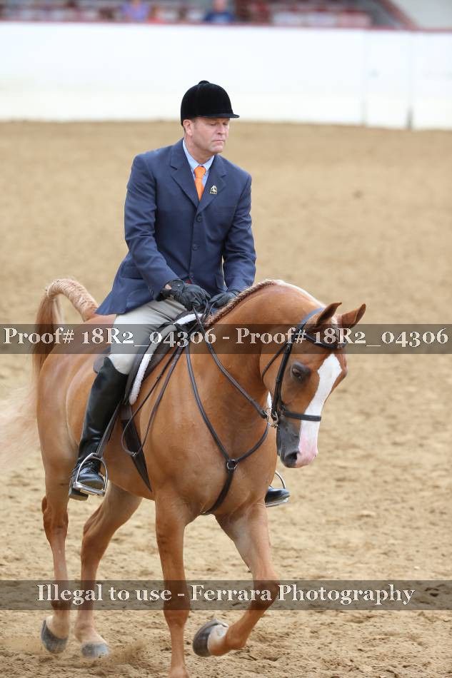 Proof 18R2_04306