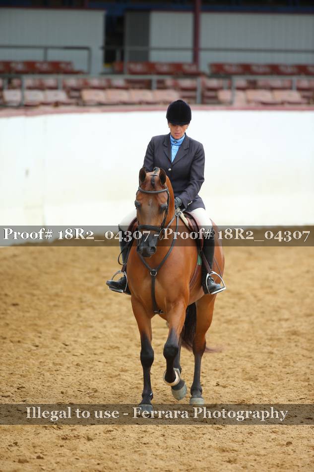 Proof 18R2_04307