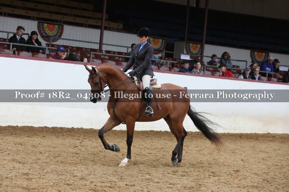 Proof 18R2_04308