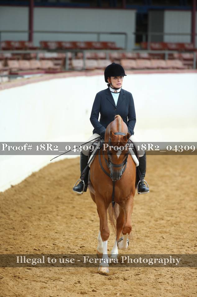 Proof 18R2_04309