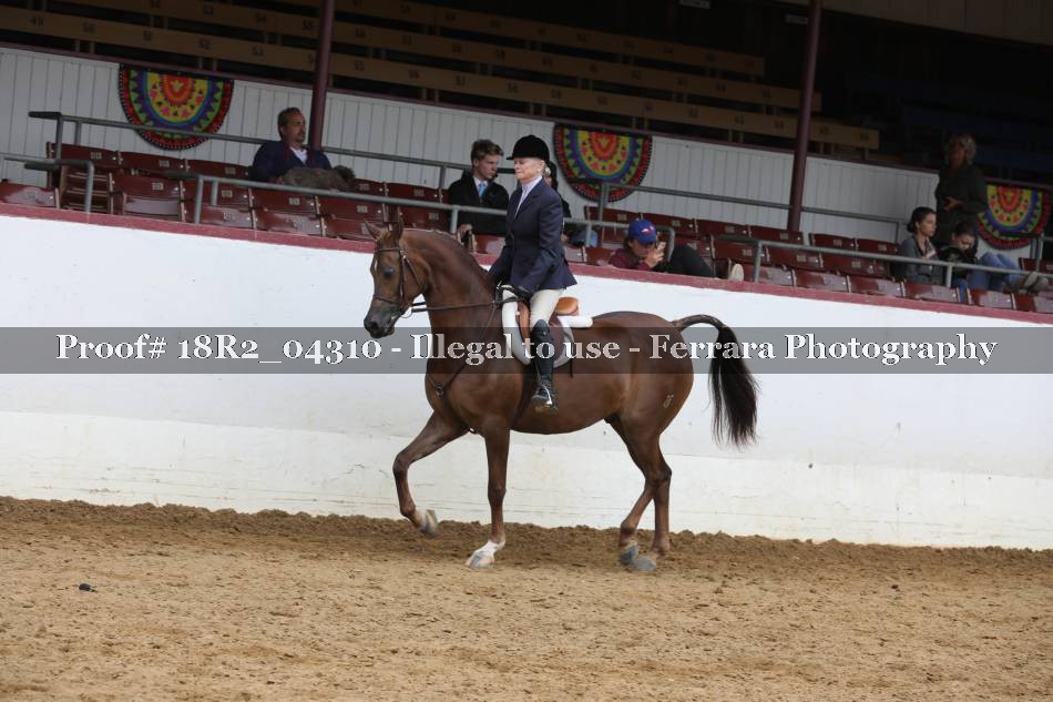Proof 18R2_04310