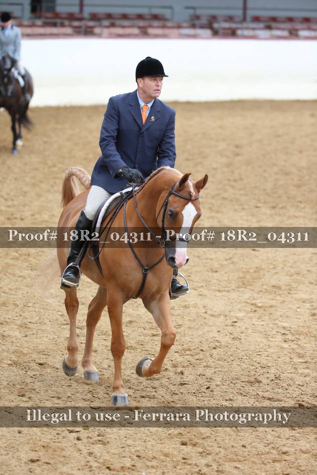 Proof 18R2_04311