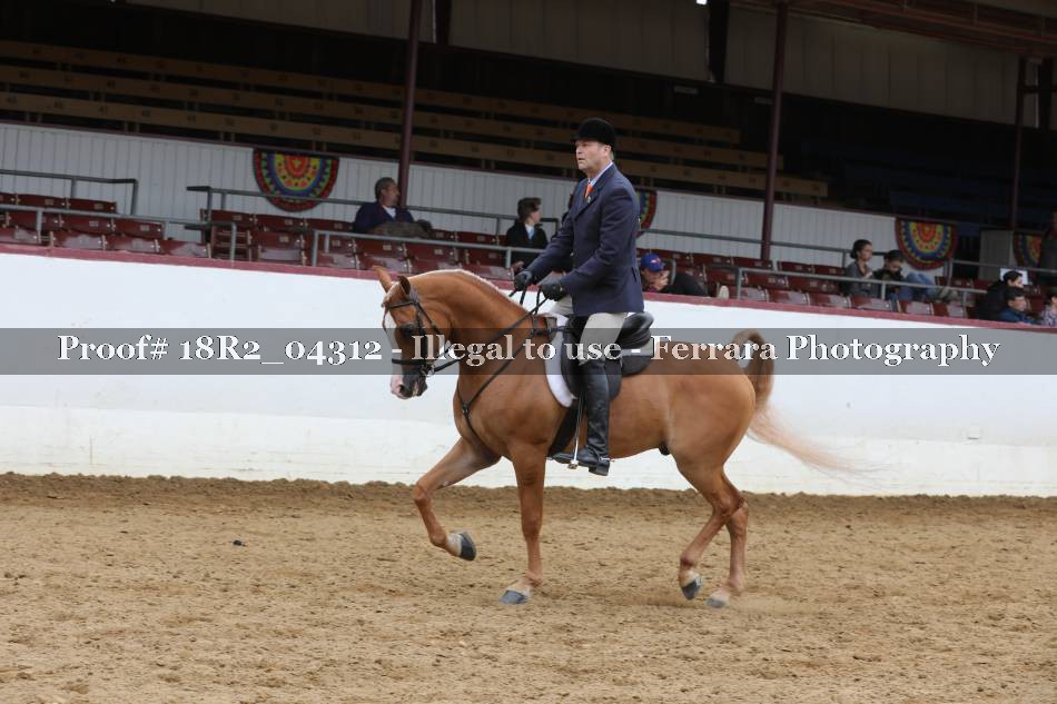 Proof 18R2_04312
