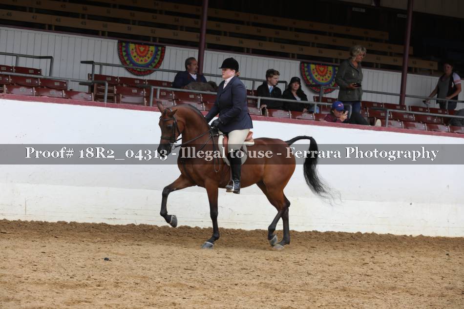 Proof 18R2_04313