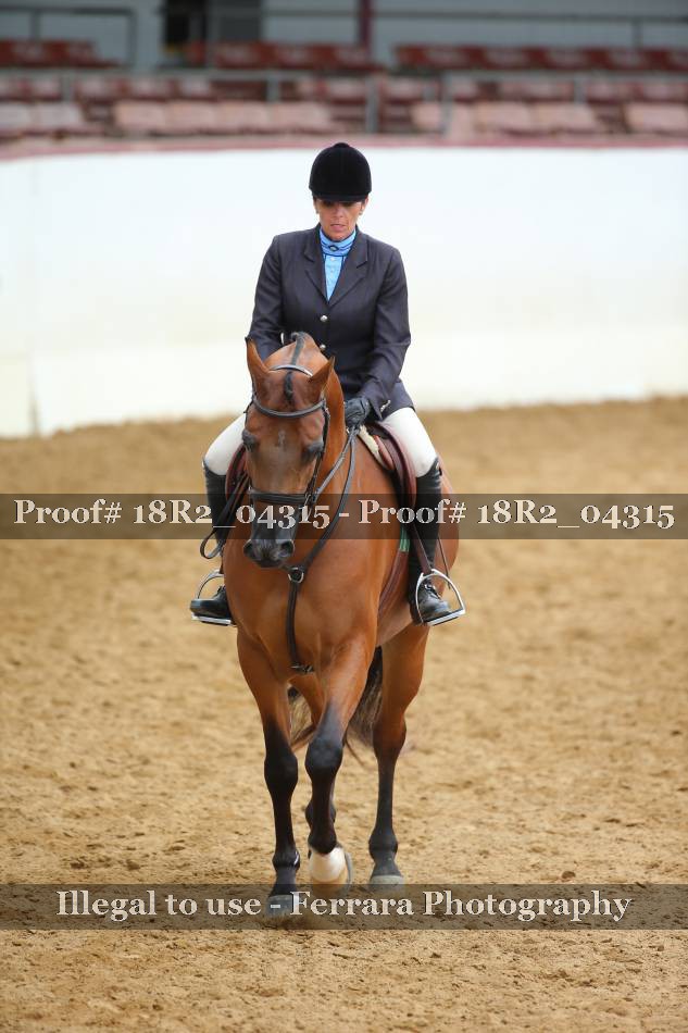 Proof 18R2_04315