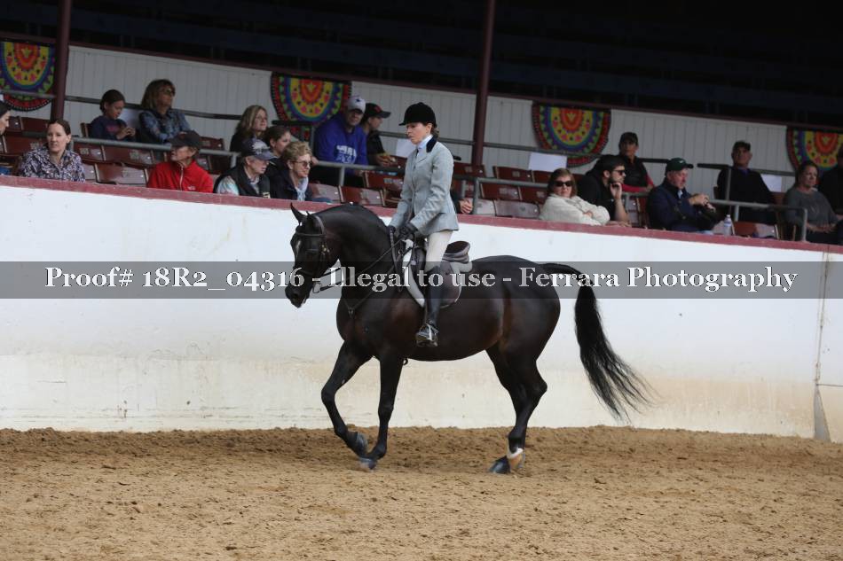 Proof 18R2_04316