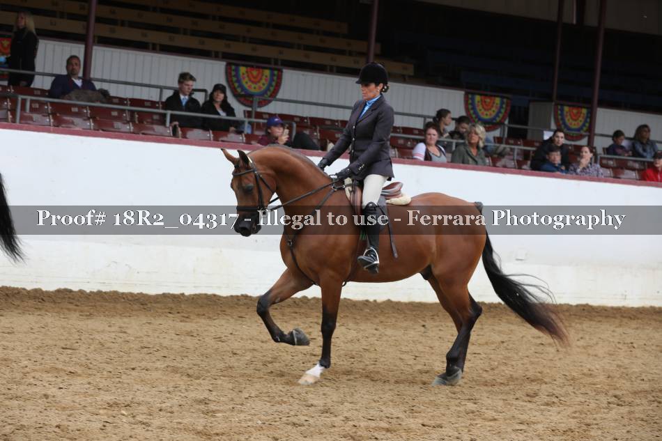 Proof 18R2_04317