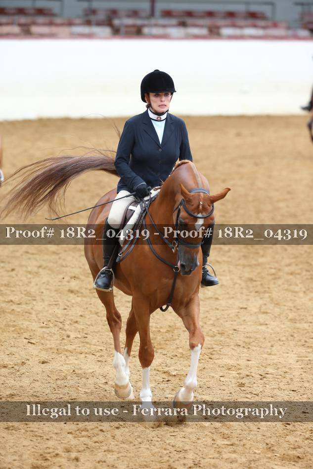 Proof 18R2_04319