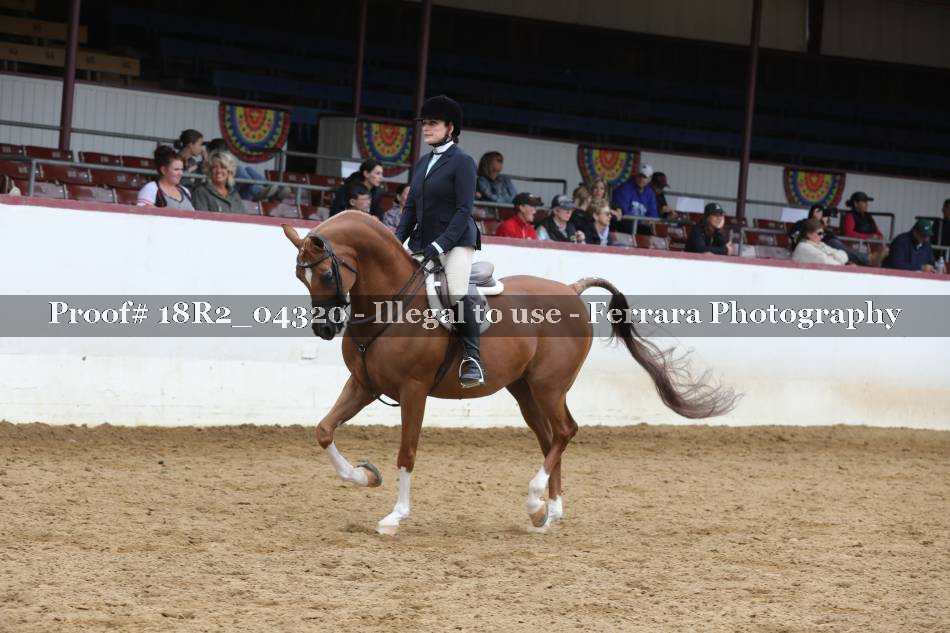 Proof 18R2_04320