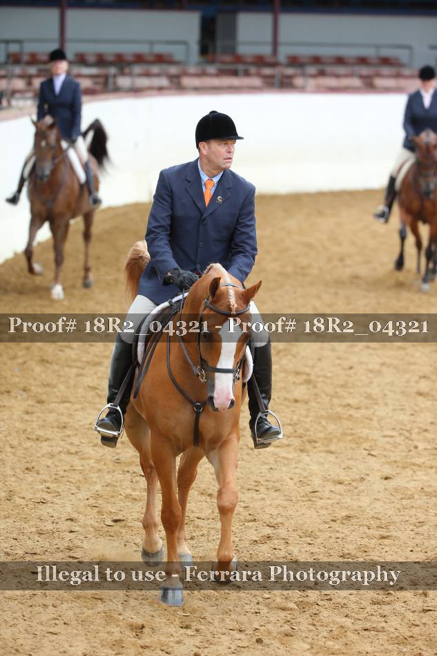 Proof 18R2_04321