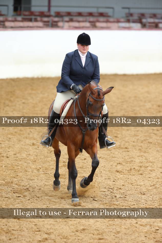 Proof 18R2_04323