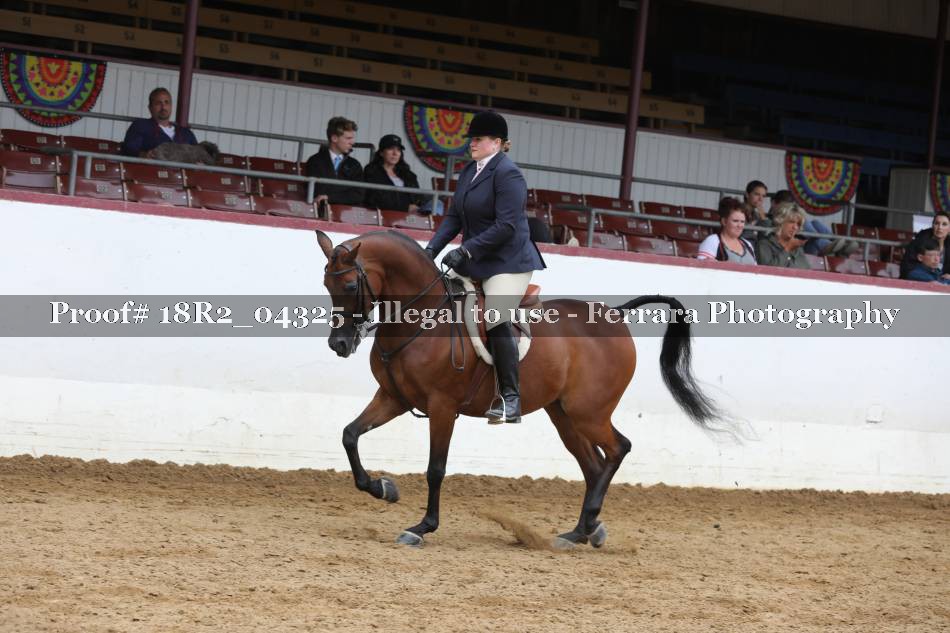 Proof 18R2_04325