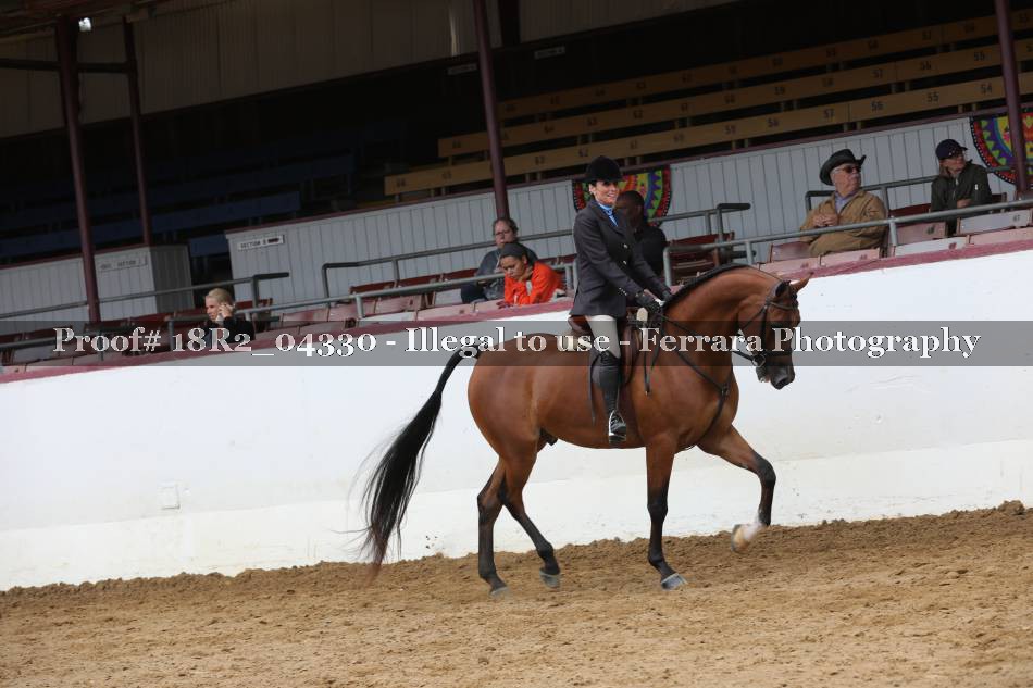 Proof 18R2_04330
