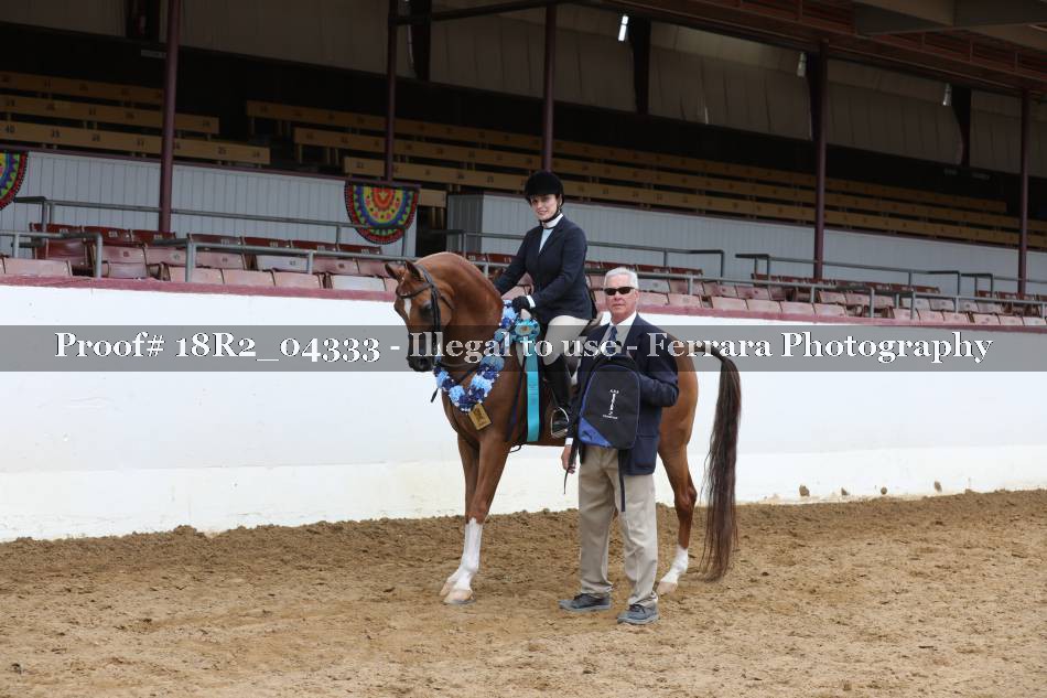 Proof 18R2_04333
