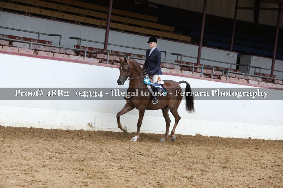 Proof 18R2_04334