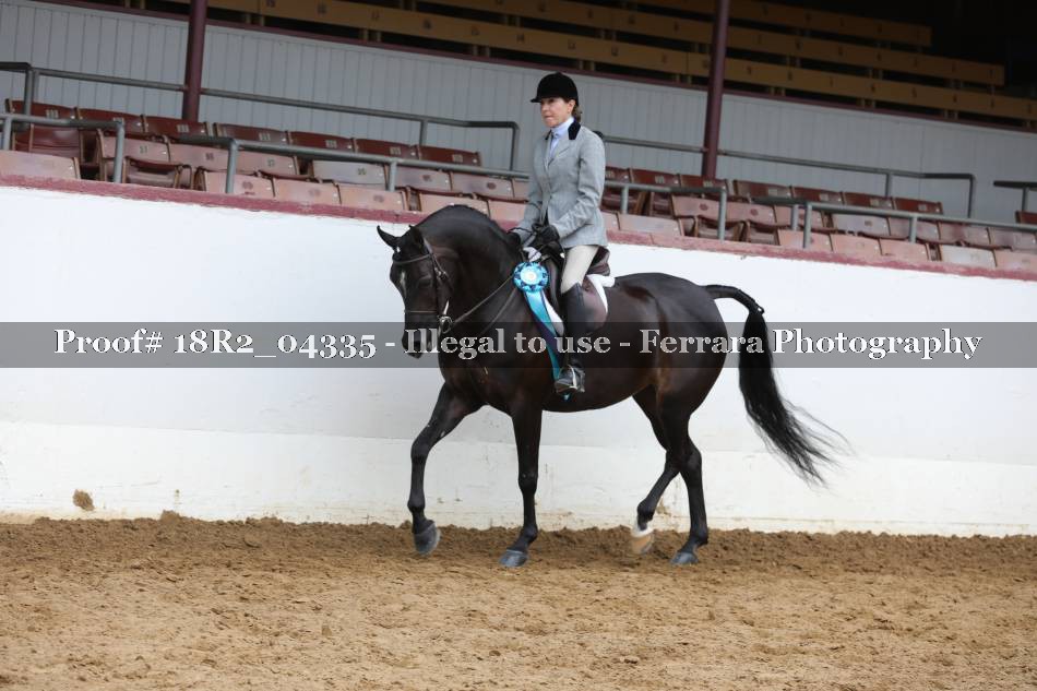 Proof 18R2_04335