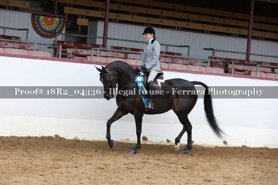 Proof 18R2_04336