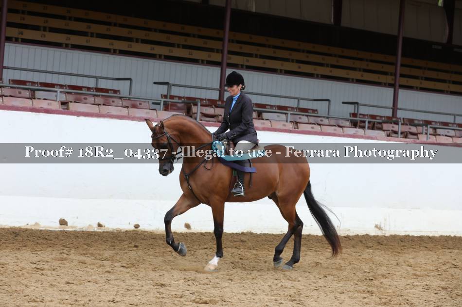 Proof 18R2_04337