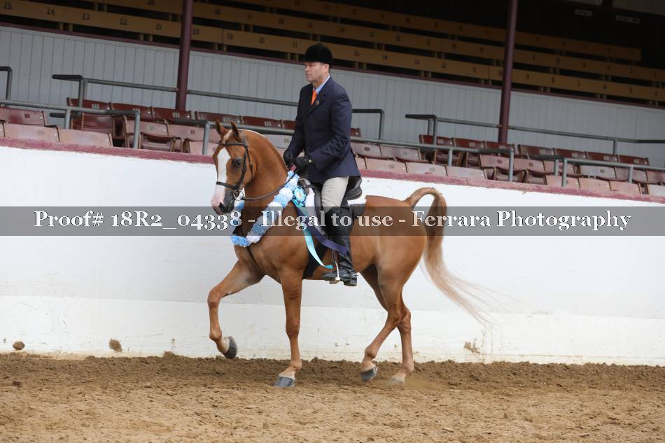 Proof 18R2_04338