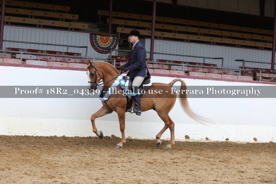 Proof 18R2_04339
