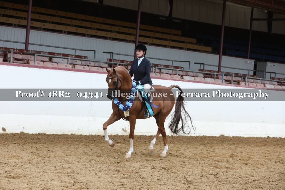 Proof 18R2_04341