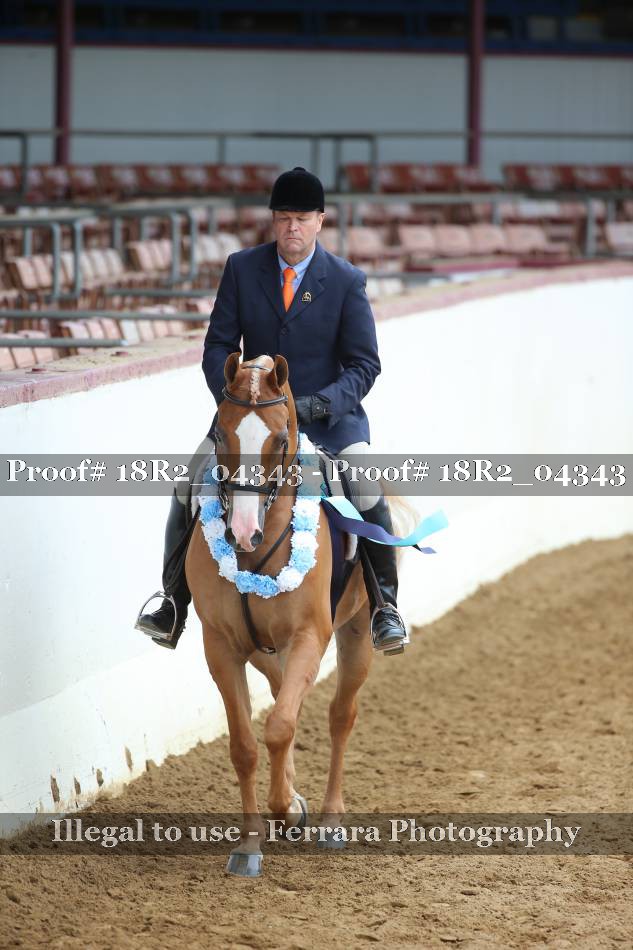 Proof 18R2_04343