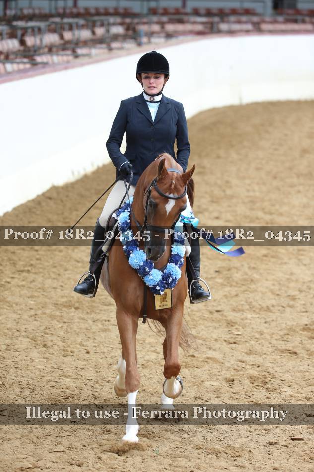 Proof 18R2_04345