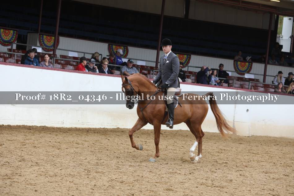 Proof 18R2_04346