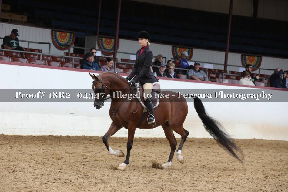Proof 18R2_04347