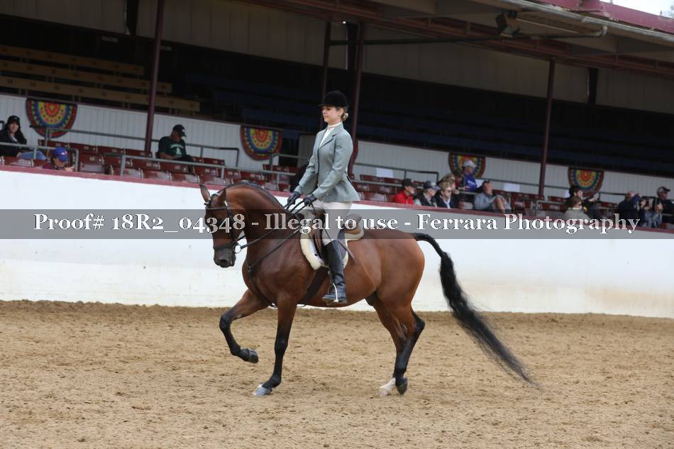 Proof 18R2_04348