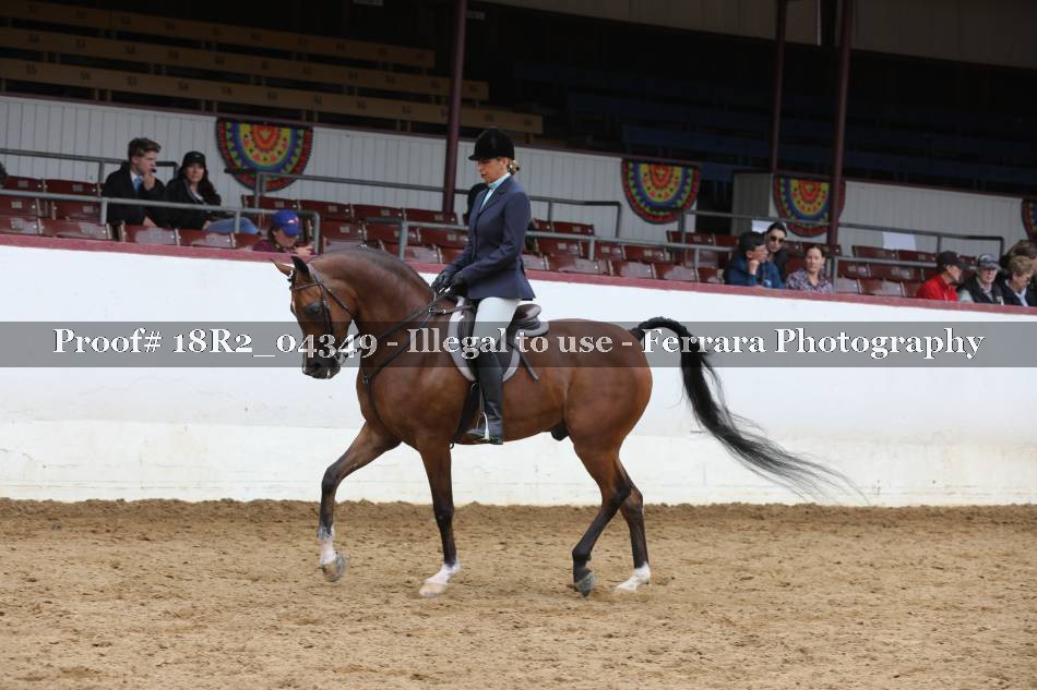 Proof 18R2_04349