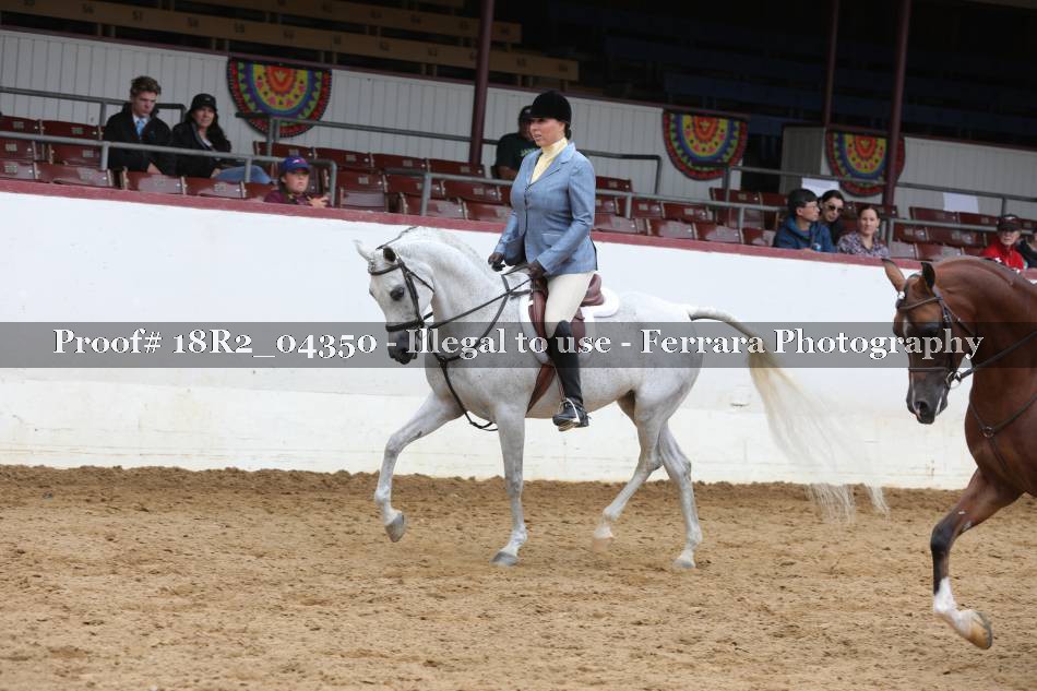 Proof 18R2_04350