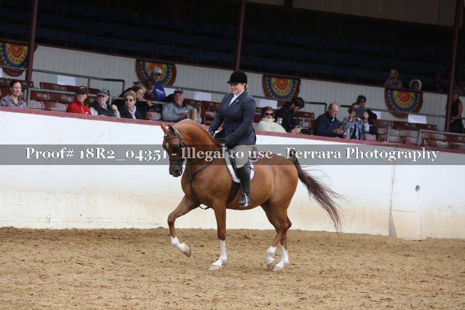 Proof 18R2_04351