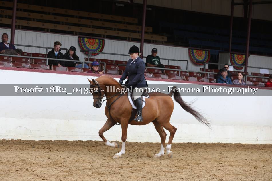 Proof 18R2_04352