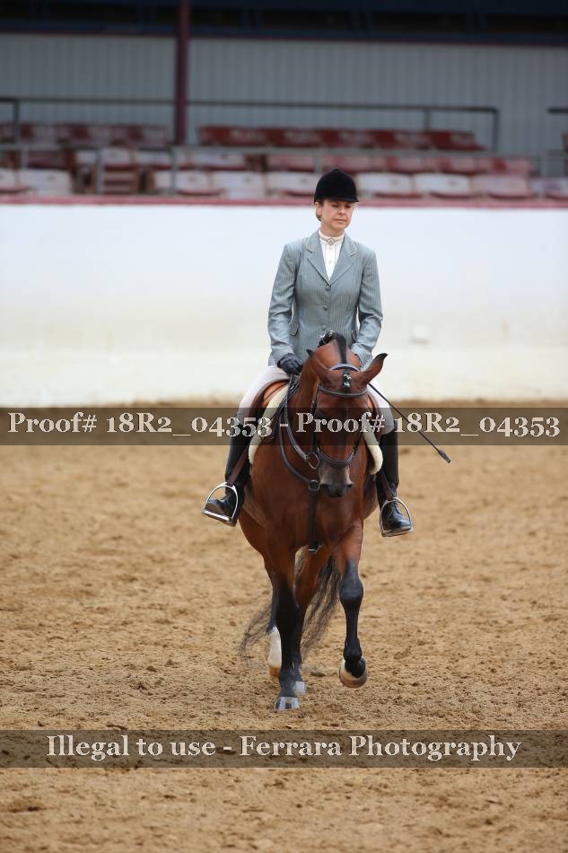 Proof 18R2_04353